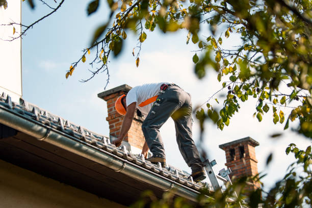 Best Gutter Installation and Roofing  in Moroni, UT